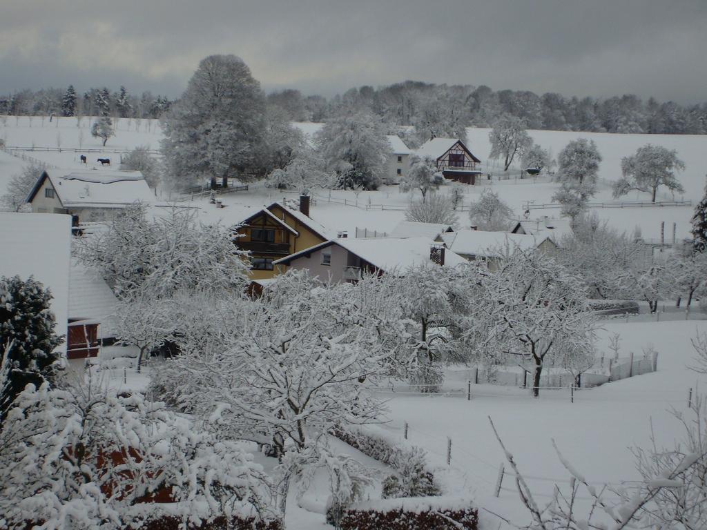 Pension Am Limespfad Hesselbach Extérieur photo